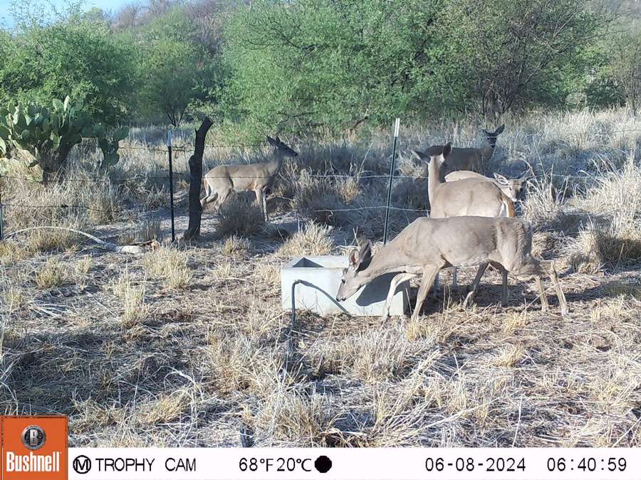 PHOTO-2024-06-10-15-00-54 2.jpg